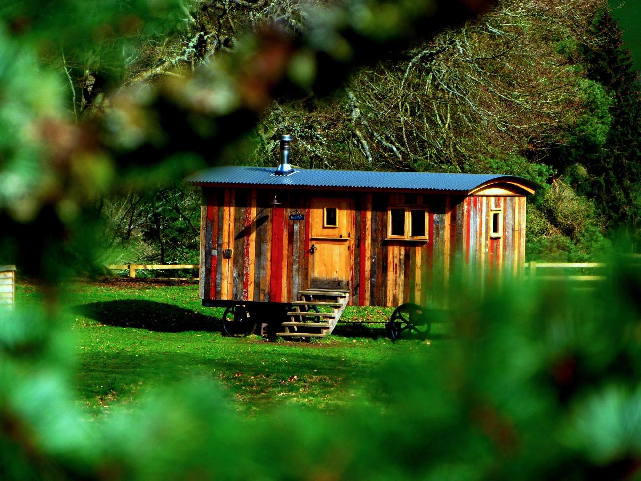 Here Are the Reasons You Should Consider Tiny House Living