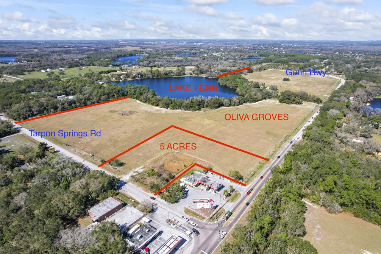 Oliva Acres Lakefront Parcel, Odessa, FL 33556: Homes for Sale - Hommati  49f2dd1be721db9d1b57fa18686336a3
