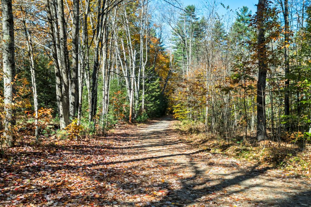  Maps and Schools Camp Rd, Wolfeboro, NH 03894: Homes for Sale - Hommati  c3704b6185e3c8710cc57525c484bcd5